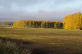 Погода во вторник: уже местами изморось