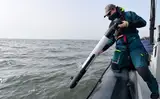 Французы показали подводный дрон весом 13 кг: для поиска морских мин