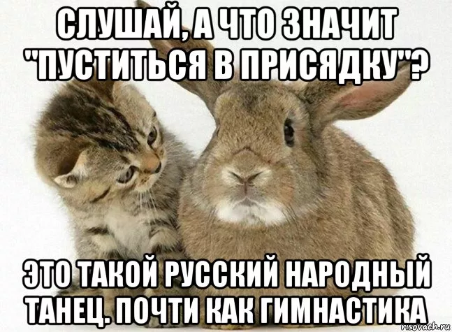 Украинец хотел незаконно попасть в Польшу на корточках