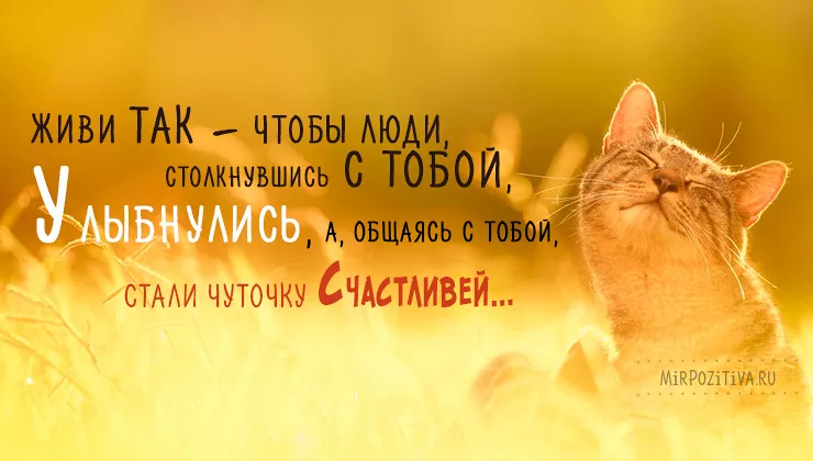 Мудрые цитаты про жизнь Фрейда, Ницше, Достоевского