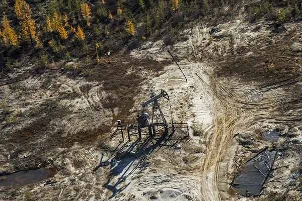 Оплошавшие нефтяники спилили деревья и воткнули стволы обратно