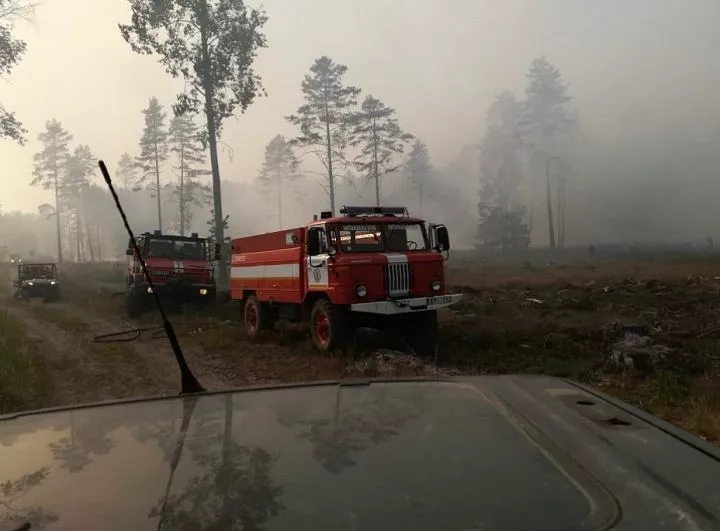 Пожарные не справляются: на адажском полигоне все еще горит