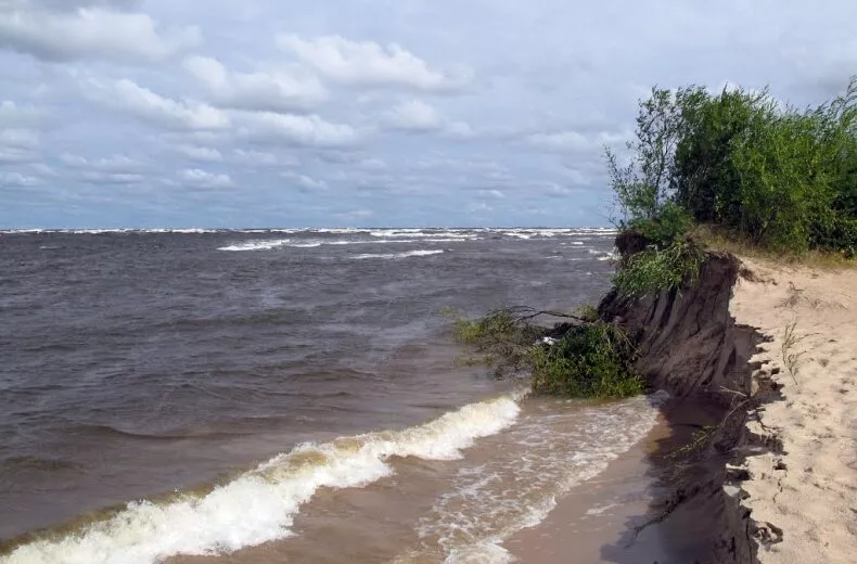 Вецаки и Вакарбулли закрыты для купания. Все те же гадкие водоросли