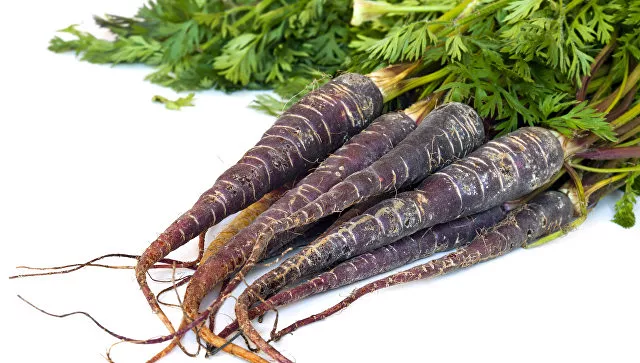 Жуткие предки: как выглядела продуктовая корзина каменного века (фото)