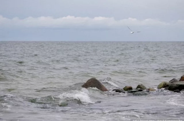Одни борются за чистоту Балтийского моря, а другие сливают в него сточные воды