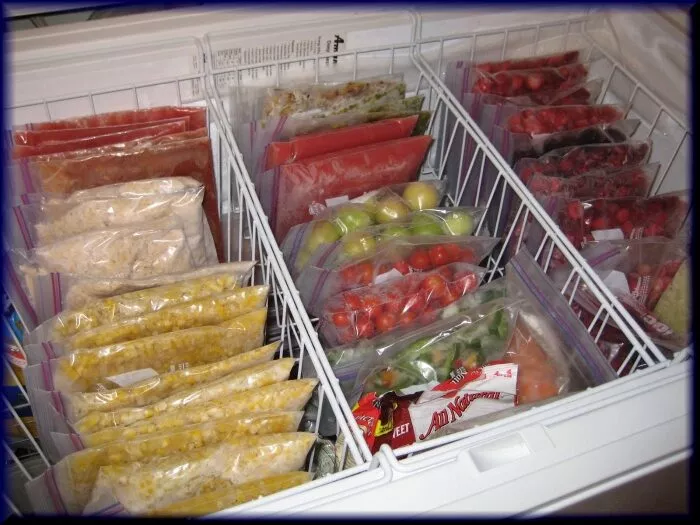Замороженные продукты в школах: миф или реальность?