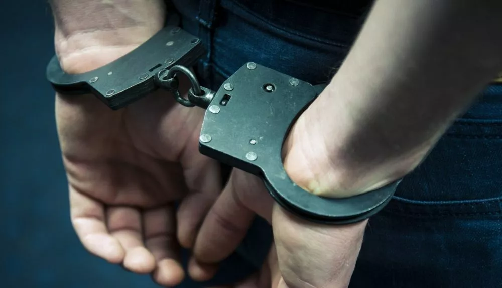 Мужчина, надругавшийся над собакой и убивший ее, получил полгода тюрьмы