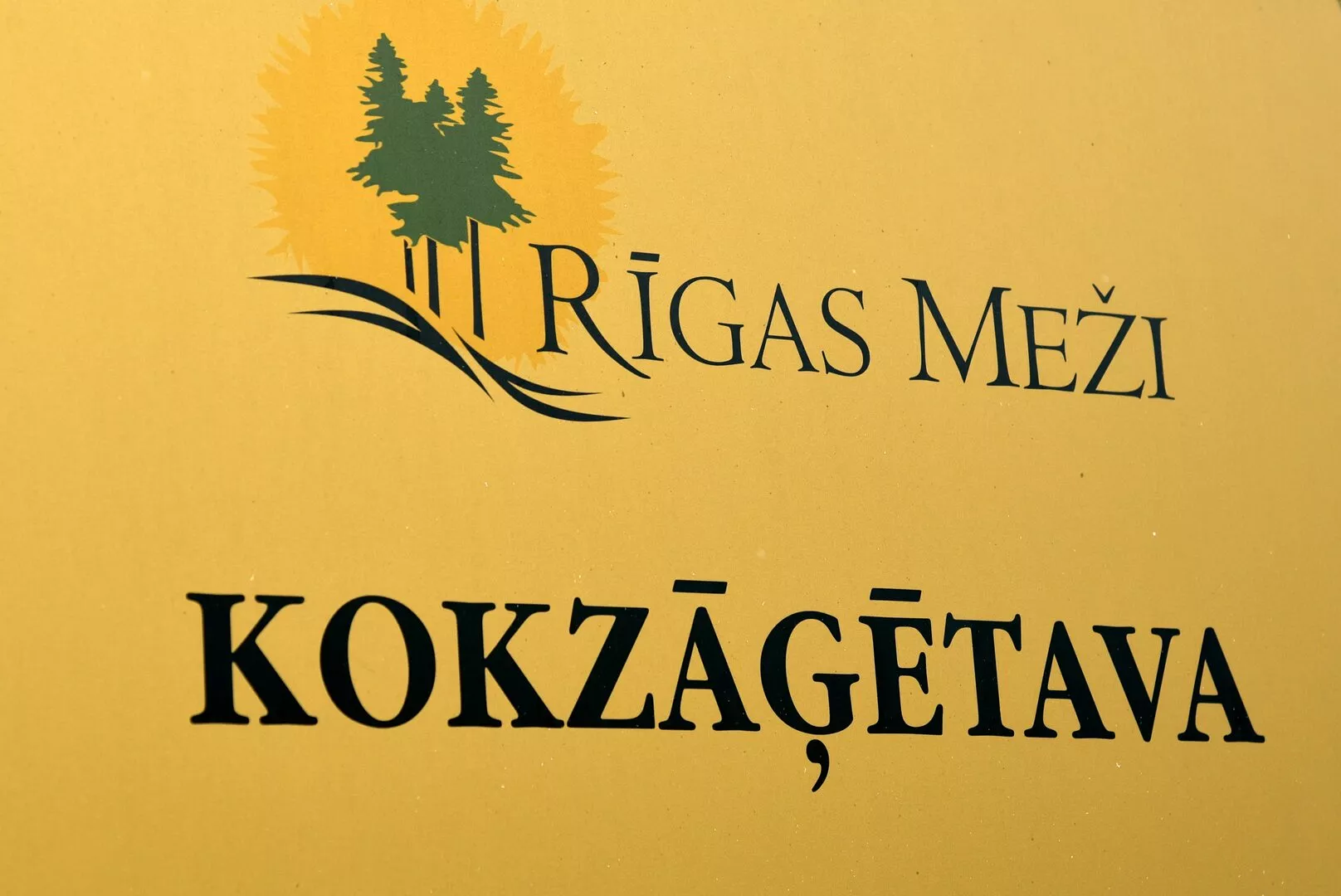 Мэр Риги поручил Rīgas meži выкупить часть леса у шведской компании