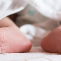 На тротуаре в Кенгарагсе нашли новорожденную: полиция — о результатах расследования