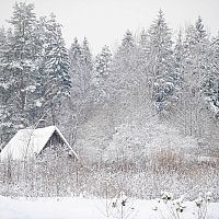 Вернуть уехавших почти невозможно: латвийские села стремительно пустеют
