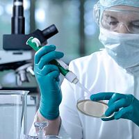 Страшнее ковида: стало известно, что именно может вызвать новую пандемию