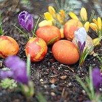 Lieldienās Latvijā kļūs nedaudz siltāks, bet iespējami nokrišņi