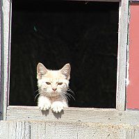 Прохладнее на побережье: четверг обещает быть солнечным и теплым