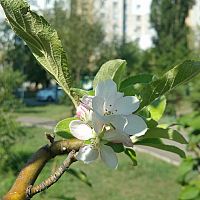 День будет сухим и солнечным, но холодным