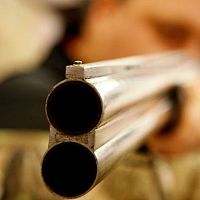 За расстрел трёх собак под Бауской ответят четверо