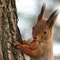 После обеда температура понизится: погода во вторник После обеда температура понизится: погода во вторник