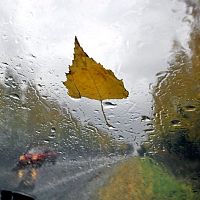 Мрачно, холодно, дождливый: прогноз на понедельник