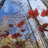 Утепляйтесь: в Латвию идут холода с севера — здравствуй, гололёд Утепляйтесь: в Латвию идут холода с севера — здравствуй, гололёд