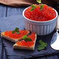 Латвийцы в шоке: в Рижском заливе задумали фермы по выращиванию форели Латвийцы в шоке: в Рижском заливе задумали фермы по выращиванию форели