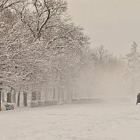 Сильные ветры, метели и рекордные морозы: подробный прогноз на февраль