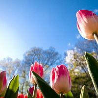 Очередной циклон: нас ждут дождливые дни, когда снова солнце? Очередной циклон: нас ждут дождливые дни, когда снова солнце?