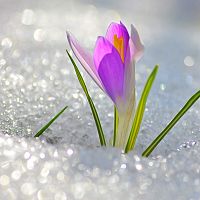 В выходные побито десять температурных рекордов