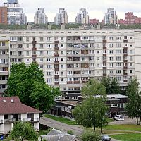 Клещи уже и в городских дворах: как защититься? Клещи уже и в городских дворах: как защититься?