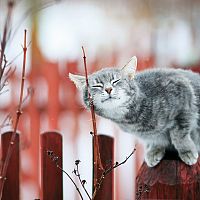 В Латгале завтра наступит лето — а как в остальных местах? Прогноз на 1 мая