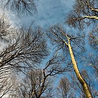 Ветер типа бури принесет в Латвию тепло и дожди: погода в среду