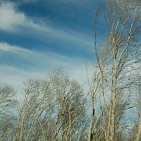 Не так страшна буря, как её прогноз: ветер будет слабее, чем ожидалось