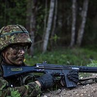 А то ничего не понимают: в армию Эстонии станут призывать только знающих госязык на В1 А то ничего не понимают: в армию Эстонии станут призывать только знающих госязык на В1