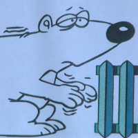 Пустые магазины и очередь до февраля: латвийцы «охотятся» за дефицитом