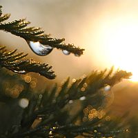 Декабрь: дожди возвращаются