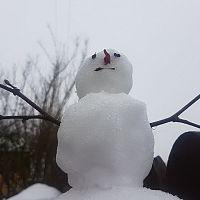 «1:0 в пользу снеговика»: видеоролик вызвал оживлённую реакцию в сети