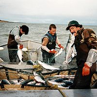 Закроют море до конца лета: что будет с рыбаками?