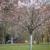 Май обещает быть теплее нормы: резко потеплеет уже с пятницы
