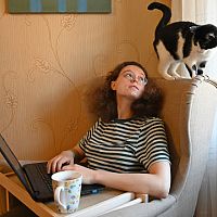 «Хочу работать удалённо»: в каких случаях это разрешено законом?