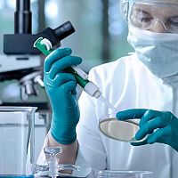 Латвийцы везут с Мальдивов экзотическую инфекцию: что это?