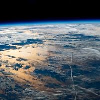 СО₂ приносит пользу: Земля стремительно зеленеет, наращивая биомассу