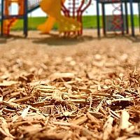 Выпрыгнул из кустов и изнасиловал: случай на детской площадке