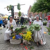 На Домской площади состоится травяной базарчик