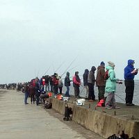 1 мая открывается сезон ловли щуки: что ещё нового ждёт рыбаков?