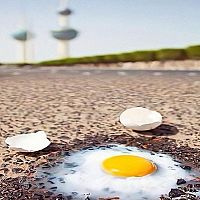 Солнце, дождь и до +31 — какой будет погода в субботу