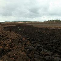 Налог на торф будет увеличен в пять раз, но это ещё не всё: Сейм