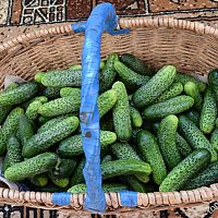 Дороже мяса? Цена на огурцы в Lidl шокировала покупателей