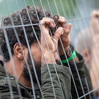 3000 евро за въезд в Латвию: мошенники нашли золотую жилу 3000 евро за въезд в Латвию: мошенники нашли золотую жилу