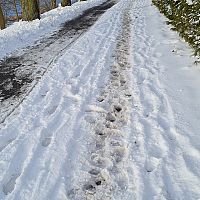 Девушки, носите с собой электрошокер! Жители Кенгарагса предупреждают о неладном Девушки, носите с собой электрошокер! Жители Кенгарагса предупреждают о неладном