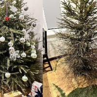 Рижан предупредили: скоро начнут выставлять счета за вывоз ёлки