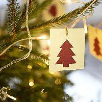 Ждём праздника: сегодня в Риге и Юрмале зажгутся главные рождественские ёлки