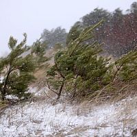 На Латвию идёт снежная буря: обновлённый прогноз на выходные